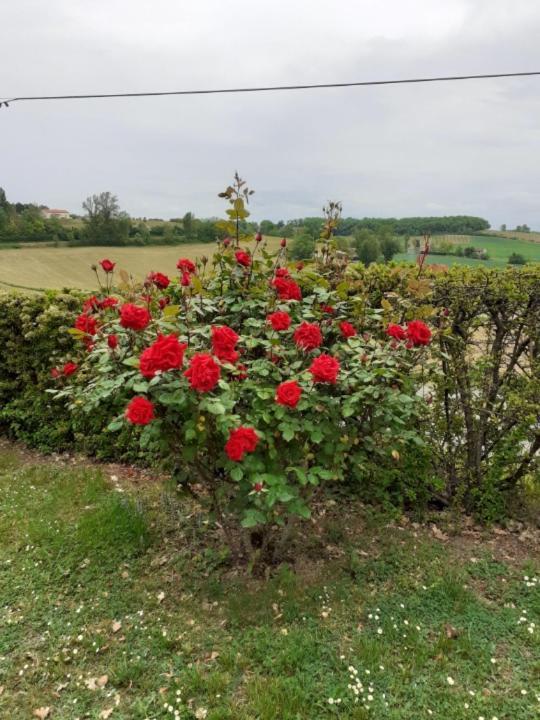 Gite De La Cheneraie Montpezat-de-Quercy Buitenkant foto