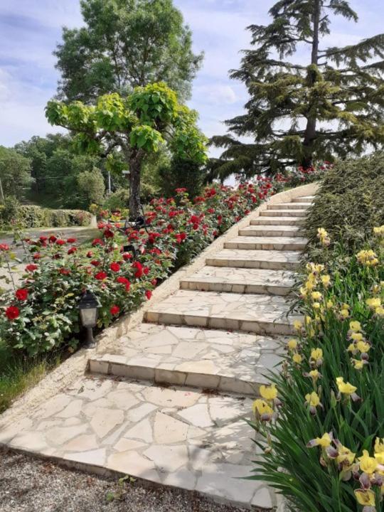 Gite De La Cheneraie Montpezat-de-Quercy Buitenkant foto